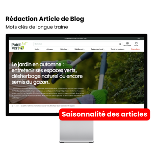 Rédaction d&rsquo;Articles de Blog (SEO, GEO, etc.)