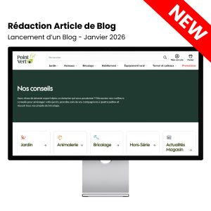 Rédaction d&rsquo;Articles de Blog (SEO, GEO, etc.)