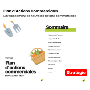 Plan d&rsquo;Actions Commerciales