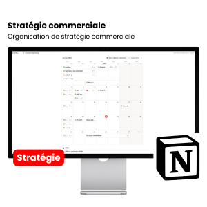 Stratégie Commerciale E-commerce